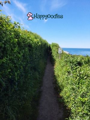 Happyoodles.com Is the Newport, Rhode Island Cliff Walk Dog Friendly? View of narrow path 