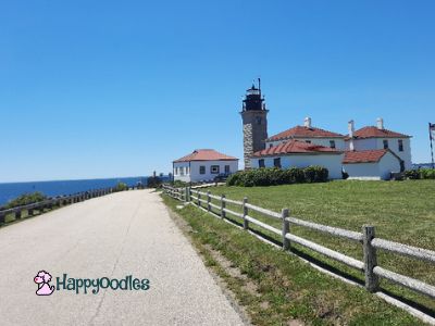 Newport, RI: Dog Friendly Things to Do and Places to Stay Beavertail State Part - Happyoodles.com 