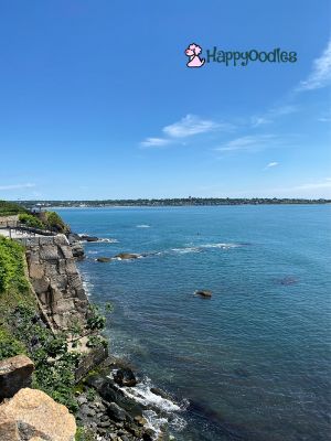 View of cliff on Newport Cliffwalk - Newport RI Dog Friendly things to do in Newport. - Happyoodles.com 