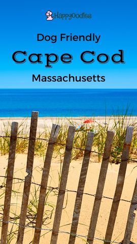 Dog Friendly Cape Cod Mass Guide - Pin