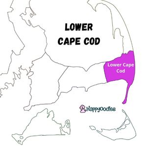 Where to Stay in Cape Cod, MA with a Dog? Map of Cape Cod, MA - Lower Cape Region - Happyoodles.com 
