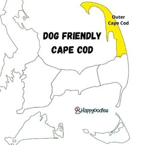 Dog Friendly Beaches - Cape Cod, Massachusetts - black and white pic of cape cod outline with outer-cape section colored in yellow