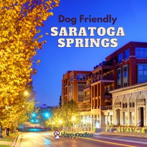 Saratoga Springs: Dog Friendly Things to Do and Places to Go