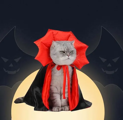 Cat Dracula Pet Costume