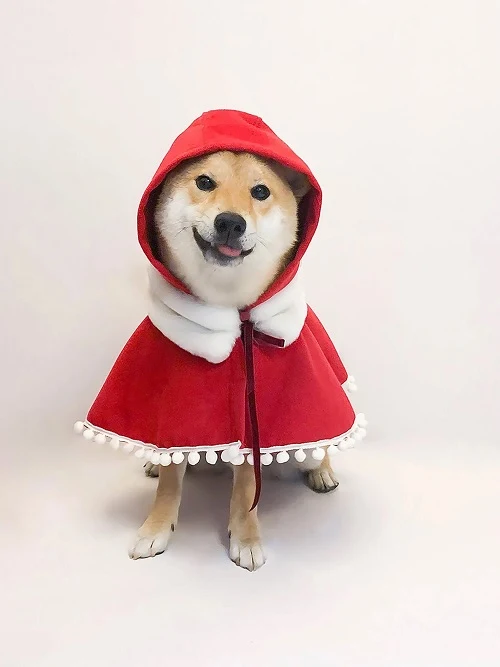 Little Red Riding Woof pet Costume