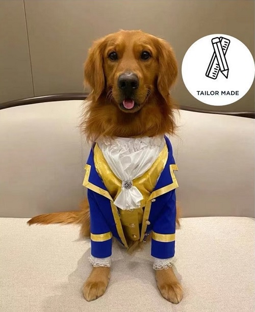 Adorable Halloween Costumes for Dogs and Cats - 2022 - The Beast Costume 