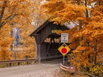 Dog Friendly Fall Getaways in the East - Stowe, Vt