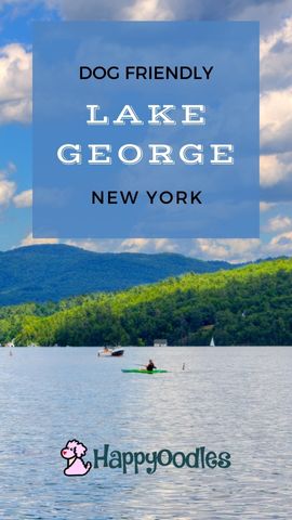 Lake George, NY:  Dog Friendly Things to Do