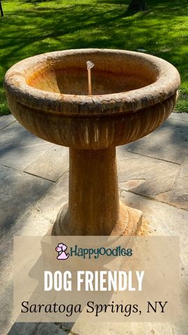 Saratoga Springs: Dog Friendly Things to Do Happyoodles.com Pin - Pic of fountain