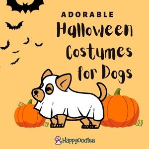Adorable Halloween Costumes for Dogs and Cats - 2022