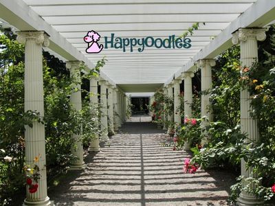Yaddo Gardens Rose Covered Pergola - Happyoodles.com 