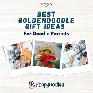 30 Best Goldendoodle Gifts For Dog Lovers - 2022