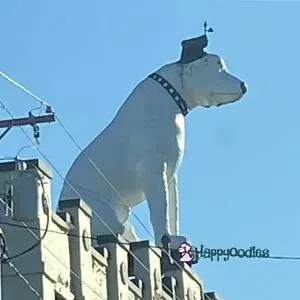 Dog Friendly Albany NY -Things to Do, Stay & Eat - Large statue of Nipper the RCA Logp Dog  - white dogs with black ears