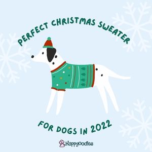 The Perfect Dog Christmas Sweater for 2022