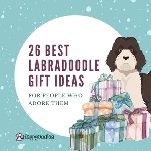 26 Best Labradoodle Gifts for People Who Adore Them - 2022