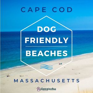 Cape Cod Dog Friendly Massachusetts title pic with white sand beaches and bright blues waves in the background