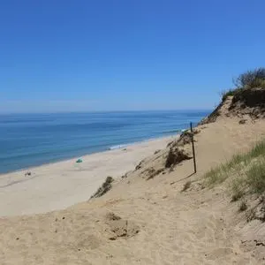 Best 27 Dog Friendly Beach Vacations in the USA  White Crest Beach in Wellfleet Ma