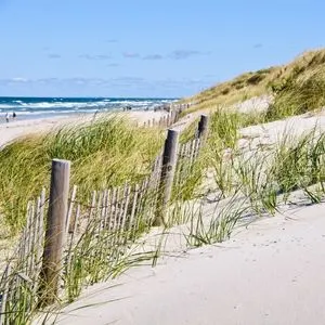 Dog Friendly Cape Cod Beach in Dennis MA - pic of white sand beach, dunes, beach grass and wooden fences