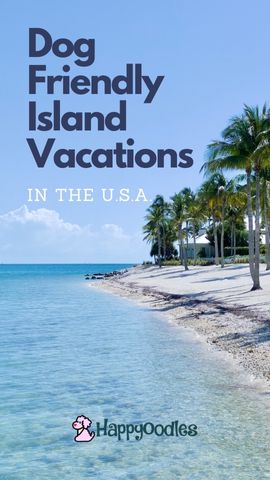 Dog Friendly Island Vacation Ideas in the USA Title Pin