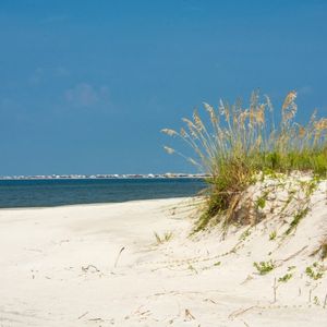Dog Friendly Island Vacation Ideas in the Gulf of Mexico - Dauphin Island, Al pic of sand beach with small dune and seagrass