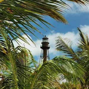 Dog Friendly Island Vacation Ideas in the Gulf of Mexico - Sanibel Island, Florida Lighthouse framed by palm trees
