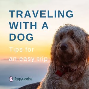 Traveling With A Dog: Tips For An Easy Trip - title pic with dog