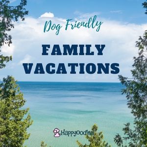 Happyoodles.com Dog Friendly Family Vacation Destinations - Mackinac Island, Michigan 