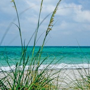 Dog Friendly Family Vacations in the Southeast - Sanibel Island, Florida Beach