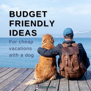 Cheap Vacations With a Dog: Budget Friendly Ideas - Happyoodles.com - Title pic man and dog at lake