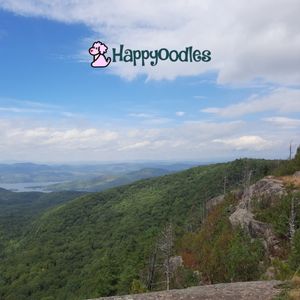 Dog Friendly - Bolton Landing, NY - View out towards the Pinnacle and Cat and Thomas Mountain Preserve