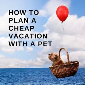 How to Plan a Cheap Vacation with a Pet - title pic with a dog in a basket with a balloon attached, 