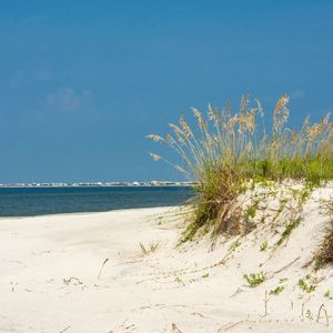 Beach on Dauphin Island, Alabama