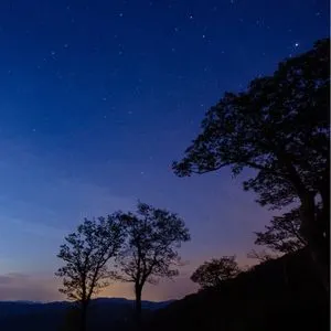 Dog Friendly Things to Do in Shenandoah National Park - Stargazing