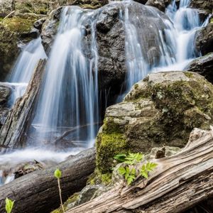 Best time of year to visit Shenandoah National Park with a dog - waterfall in spring