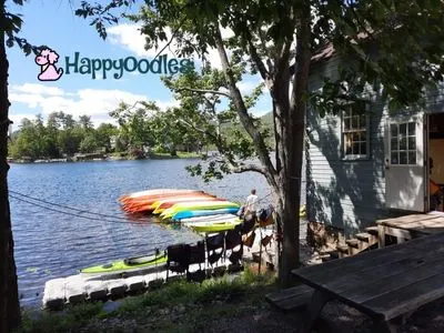 Lake George Kayak Co. - A Dog Friendly Review - dock