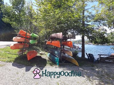 Kayaks and Canoes on a rack