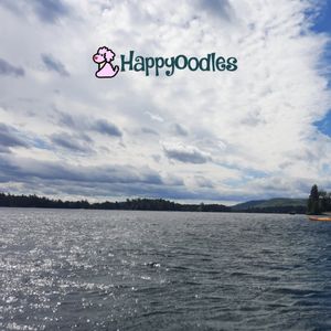 Bolton Landing, NY - A Dog Friendly Lake  George Vacation