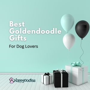 Best Goldendoodle Gifts For Dog Lovers - 2023