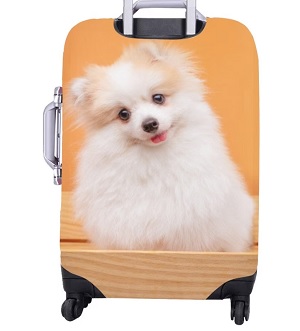 Dog Mom Gift: 23 Unique Gifts for Dog Moms - Custom Photo Luggage Cover
