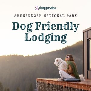 Shenandoah National Park Dog Friendly Lodging - title pic