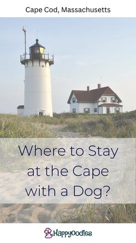 Happyoodles,com - Where to stay in Cape Cod with a dog? Pin