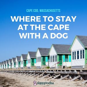 Happyoodles.com Where to Stay in Cape Cod, MA with a Dog title page pic with flower cottages