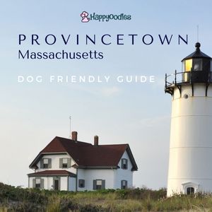 Happyoodles.com Dog Friendly Guide to Provincetown, MA