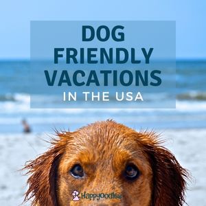 Dog Friendly Vacations in the USA - Happyoodles.com