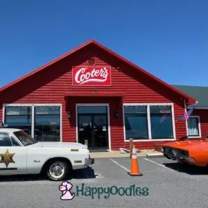 Outside of Cooter's - Dog Friendly Shenandoah Valley - Happyoodles.com 