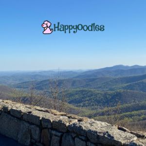 Happyoodles.com - View of the Shenandoah Valley in early spring.  We took this picture from one of the many pullovers. 