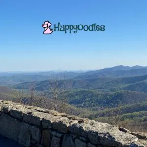 Happyoodles.com - View of the Shenandoah Valley in early spring.  We took this picture from one of the many pullovers. 