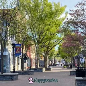 Old Town Winchester - Happyoodles.com 