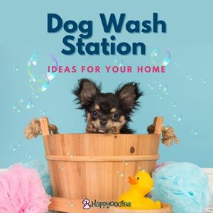 Dog Wash Station Ideas For Your Home - Title pic small dog in bucket