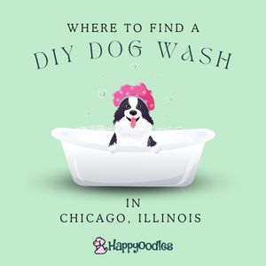 11 Self-serve Dog Wash Stations in Chicago, IL